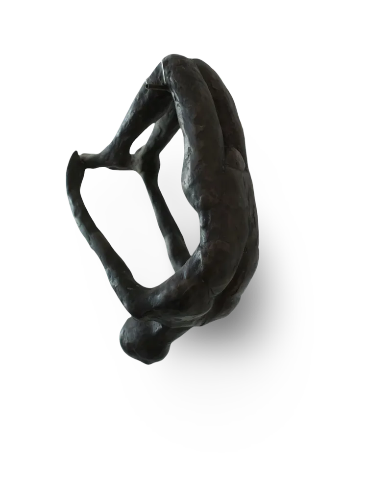 Acrobate II