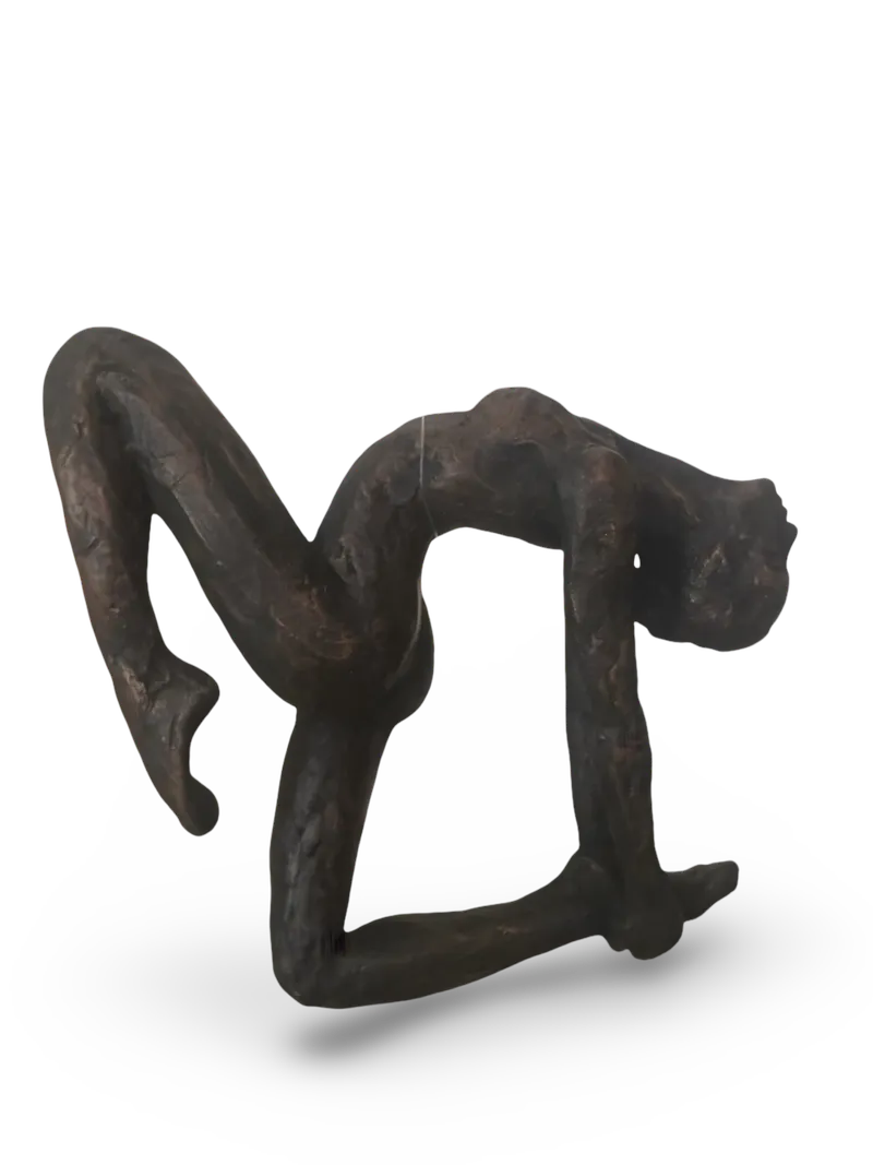 Acrobate V