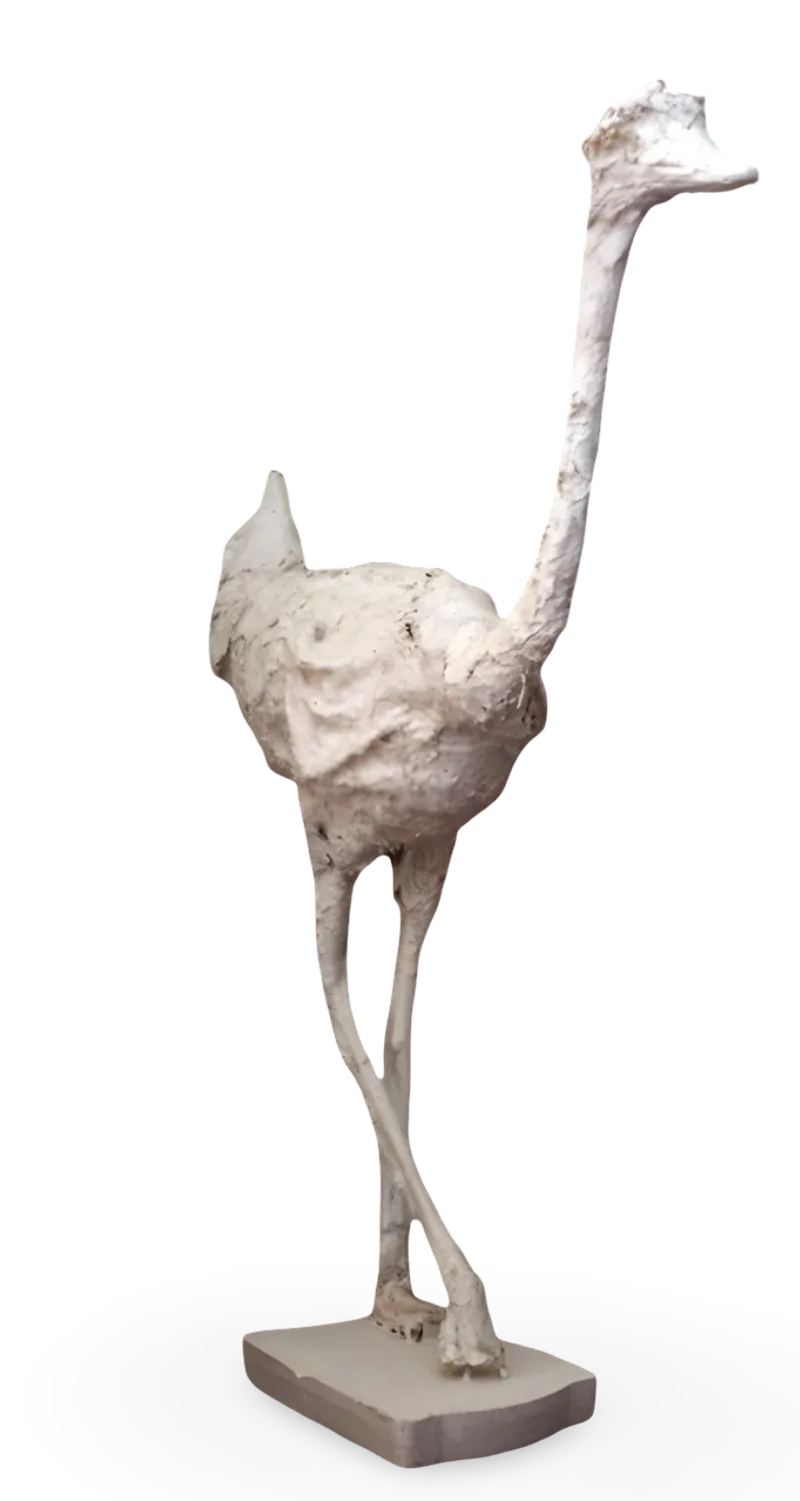 Autruche II
