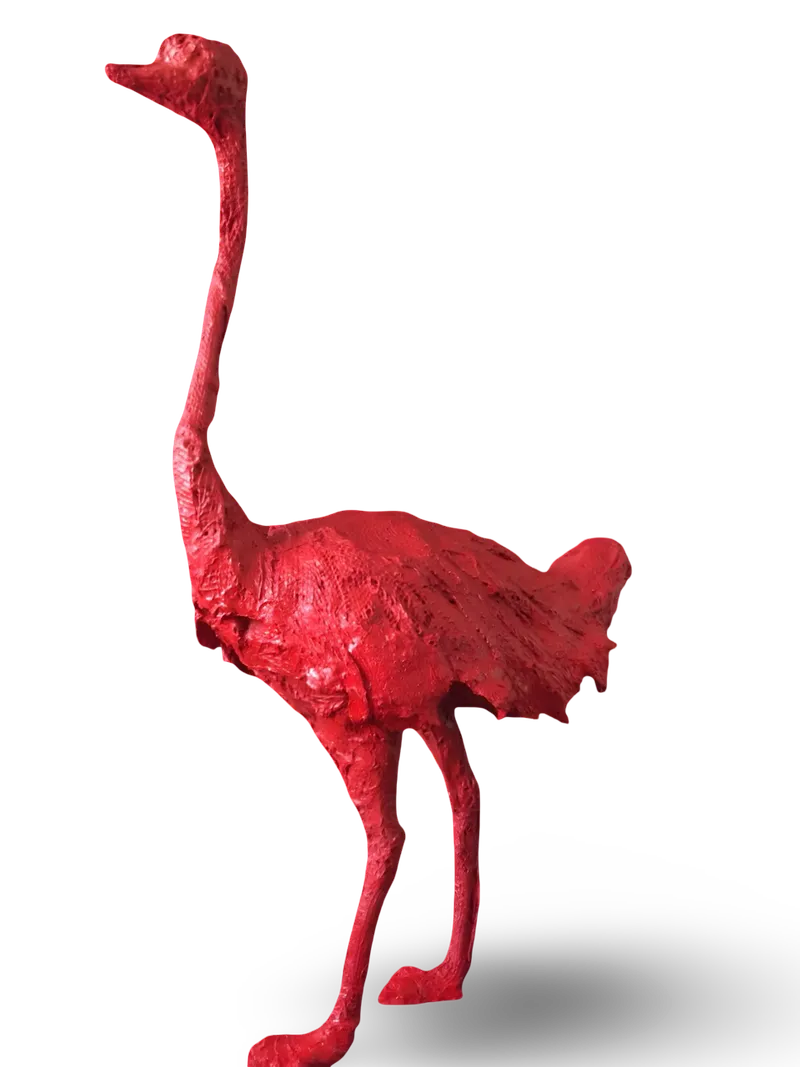 Animals Gallery