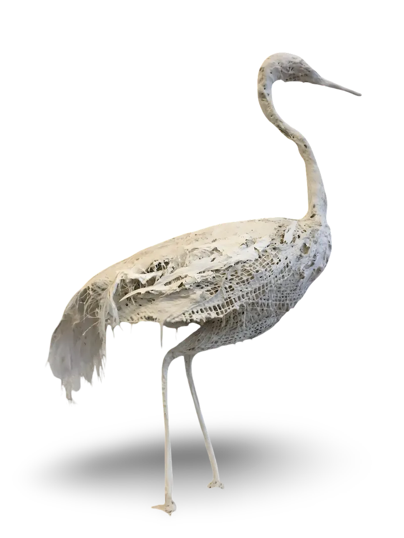 Big Bird