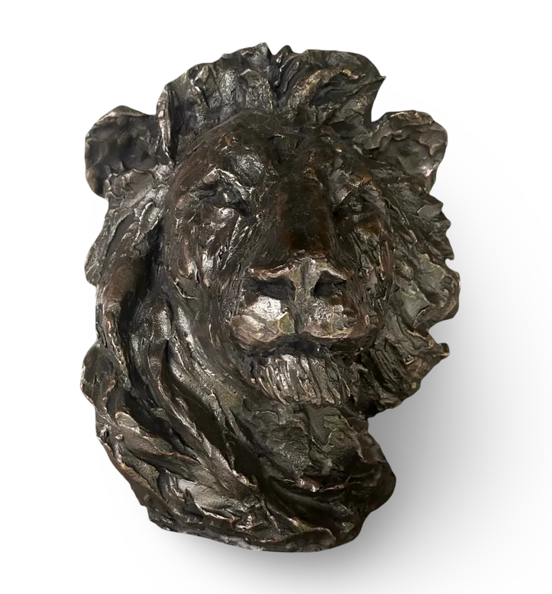 A lion gazing through the savana