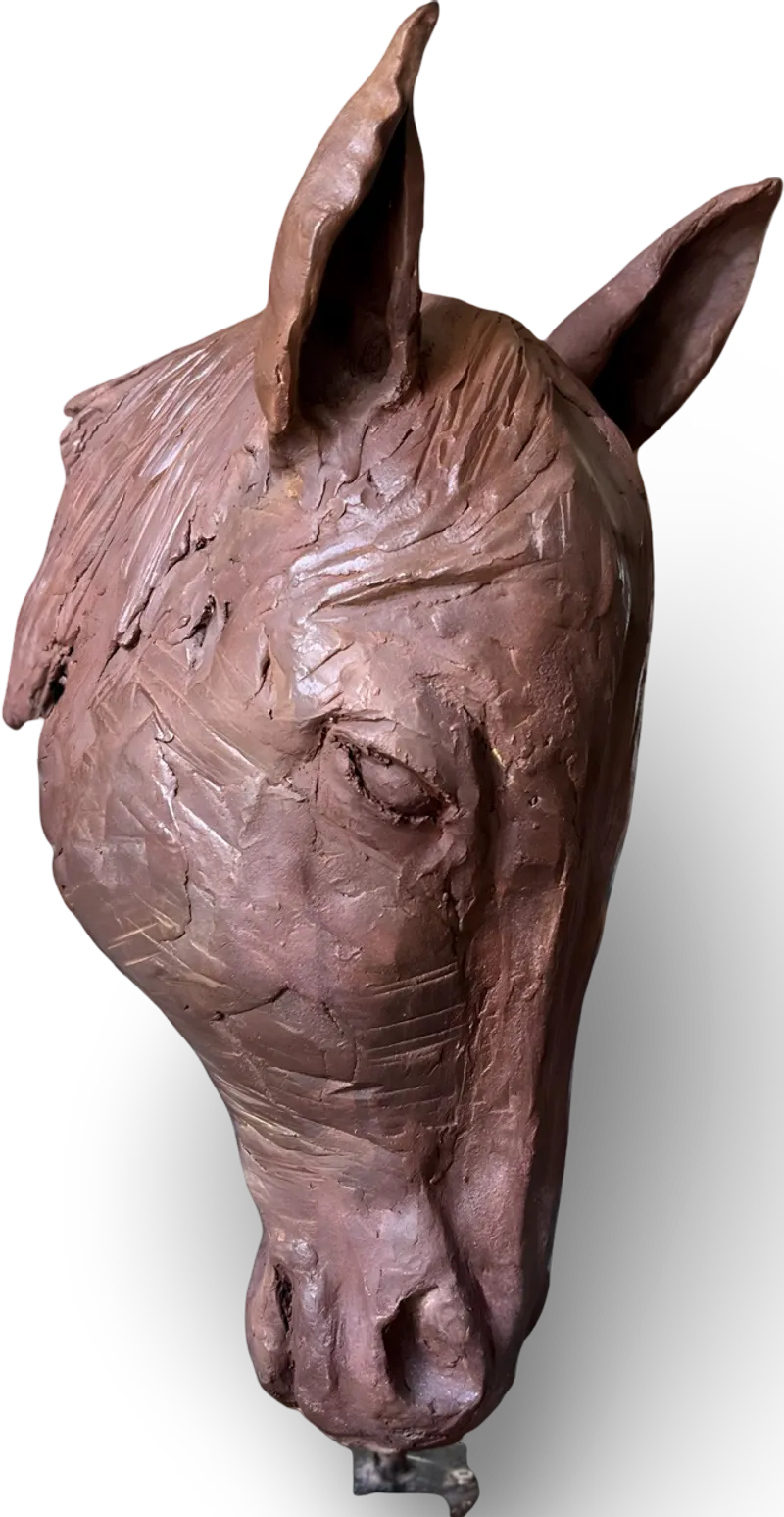 Tete De Cheval