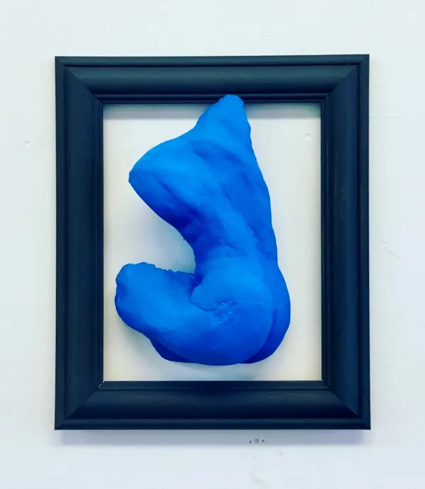 Torse Bleu