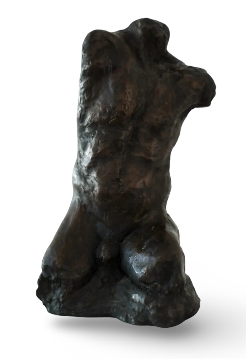 Torse I