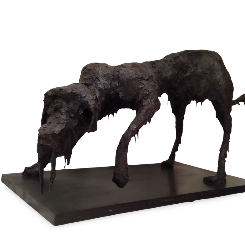 Wet Dog